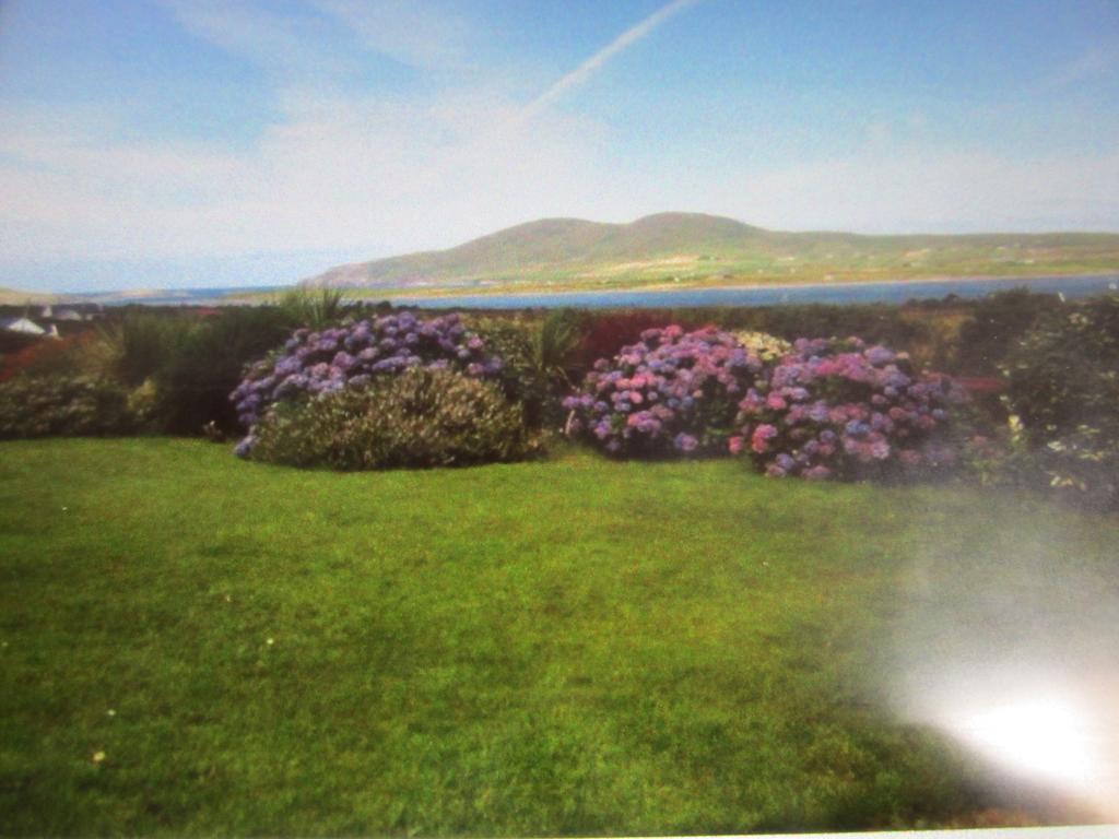 Ocean View B&B Killarney Exteriér fotografie